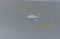 фото thumb №5, Maserati quattroporte vi кришка багажника задня 817/b