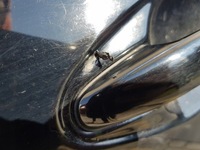 фото thumb №5, Lexus rx ii 03-08 двері ліва лівий задня задні fv