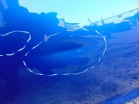 фото thumb №7, Двері лівий перед audi a6 c7