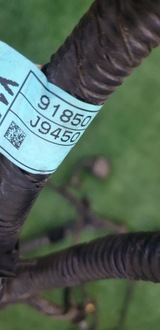 фото thumb №8, Hyundai kona i 1.6 crdi d4fe джгут електропроводка