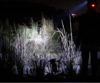 Датчик тиск. оливи citroen в Україні, фото thumb