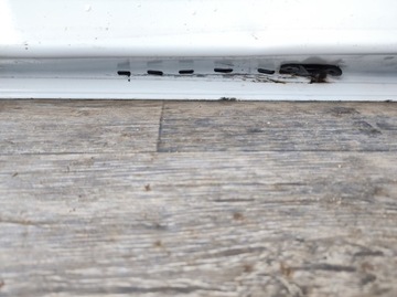 фото thumb №16, Двері renault kangoo iv 21- задні ліві