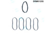 фото thumb №2, Dr.motor drm0125s набор прокладка, коллектор впускной