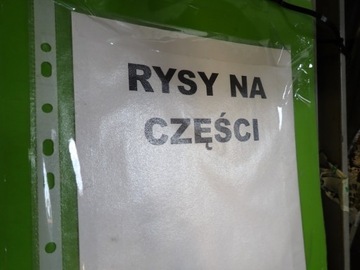 фото thumb №10, Капот кришка двигуна vw sharan i рестайлінг 01r