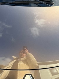 фото thumb №7, Renault scenic iii капот крышка двигателя tecnb