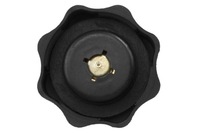 фото thumb №2, Кришка бака розширювальний mini r53 02-