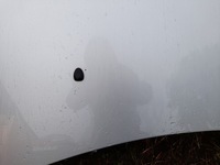 фото thumb №6, Peugeot 307 lift капот кришка двигуна ezrc