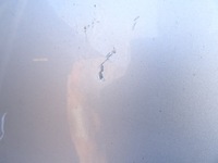 фото thumb №5, Крила лівий задня opel zafira c 176