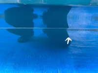 фото thumb №7, Дверь правое задние vw golf vii 7 kombi 5g9