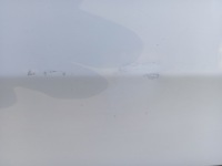 фото thumb №12, Дверь правый задняя белый vw passat b7 kombi lb9a