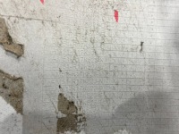 фото thumb №11, Ford c-max cmax mk2 ii 10-19 задний бампер