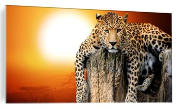ФОТОКРАСКА НА СТЕКЛЕ ЛЕОПАРД SUNEST CAT 120х60