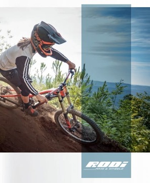 Обод RODI EXCALIBUR DH 26 дюймов 559x25 36H MTB для скоростного спуска для фрирайда с дисками