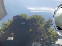 фото thumb №5, Крышка багажника задняя задняя багажника vw passat cc li7f 10r