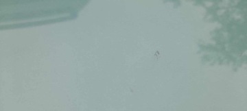 фото thumb №3, Скло двері праві перед audi a6 4k 4k0845202