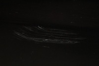 фото thumb №5, Дверь правое перед передние коричневые nissan navara 3 iii d40 05-14