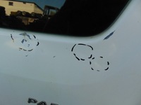 фото thumb №6, Дверь правые зад berlingo partner iii 2008- запчасть