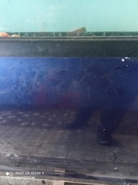 фото thumb №6, Citroen c4 hb дверь левая передние