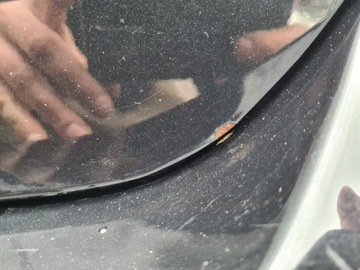 фото thumb №5, Крышка багажника ford focus mk3 fb чёрная hb