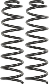 фото thumb №1, Набор пружины подвешивание зад renault megane ii 1.4-2.0d 2002-2009