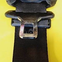 фото thumb №10, Pas безопасности правый задняя mini one cooper r50 - 53 3d 7055962 nr61