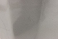 фото thumb №5, Капот крышка двигателя opel insignia a 08-17 z179