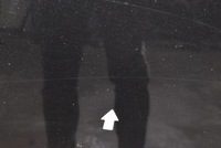 фото thumb №7, Капот кришка двигуна czarna ford fusion 1 i lift 05-12