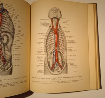 Атлас анатомии человека, Синельников, тома 2,3 и 4