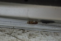 фото thumb №16, Дверь правый перед opel insignia a z176