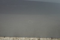 фото thumb №8, Дверь правый перед mercedes slk r171 c775