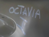 фото thumb №5, Skoda octavia ii 04-13 обшивка ліва передні