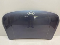 фото thumb №8, Hyundai kona ii капот 66400-aa000