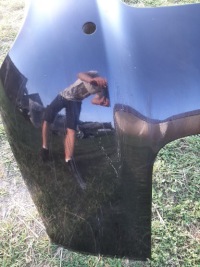 Audi a6 c6 lift kombi бампер задняя pdc lz9y Оригинал, фото thumb