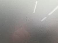 фото thumb №11, Vw touran двері правий перед la7w