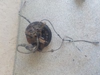 фото thumb №2, Ступица поворотный кулак суппорт правый задняя renault espace v