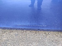 фото thumb №3, Audi a4 b8 07- дверь правое перед