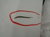 фото thumb №9, Peugeot rcz lift бампер задний pdc ezrc kwfa