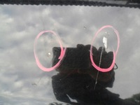 фото thumb №8, Nissan x-trail t30 2004- lift капот