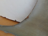 Крыло правая  перед nissan nv200 2010- в Украине, фото thumb