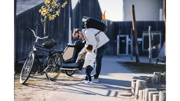 Велосипедный прицеп THULE Courier для детей и собак