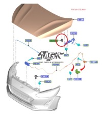 фото thumb №5, Відбійник капот focus mk3 2011- / fl 14- mk4 2018-