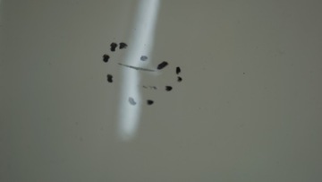 фото thumb №9, Peugeot 207 sw рестайлінг капот кришка перед ewpb