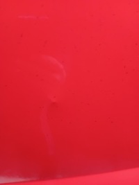 фото thumb №5, Двері ліва задня fiat doblo ii combo d 168