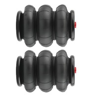 фото thumb №8, 2x сумка na підвіска пневматичний з potrójnym чохол 2600lbs