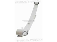 фото thumb №2, Рессора задняя triscan 8765 43004