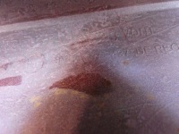 Решітка , бампер, ґрати audi a-3 8v3 дорестайлінг  hb Зі Шроту, фото thumb