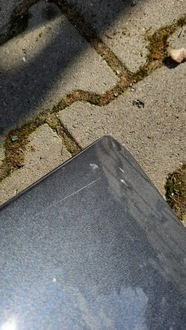 фото thumb №5, Задня кришка багажника volvo s60 00-07r sedan