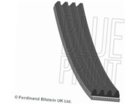 Ремінь багатореберний blue print ad04r1183 Ціна, фото thumb