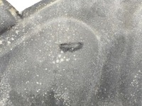 фото thumb №7, Audi a7 s7 4g 2012 изоляция термическая / шумоизоляция крышки / капота двигателя