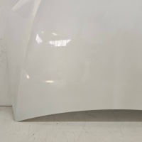 фото thumb №6, Капот крышка двигателя tesla model x plaid ppsw